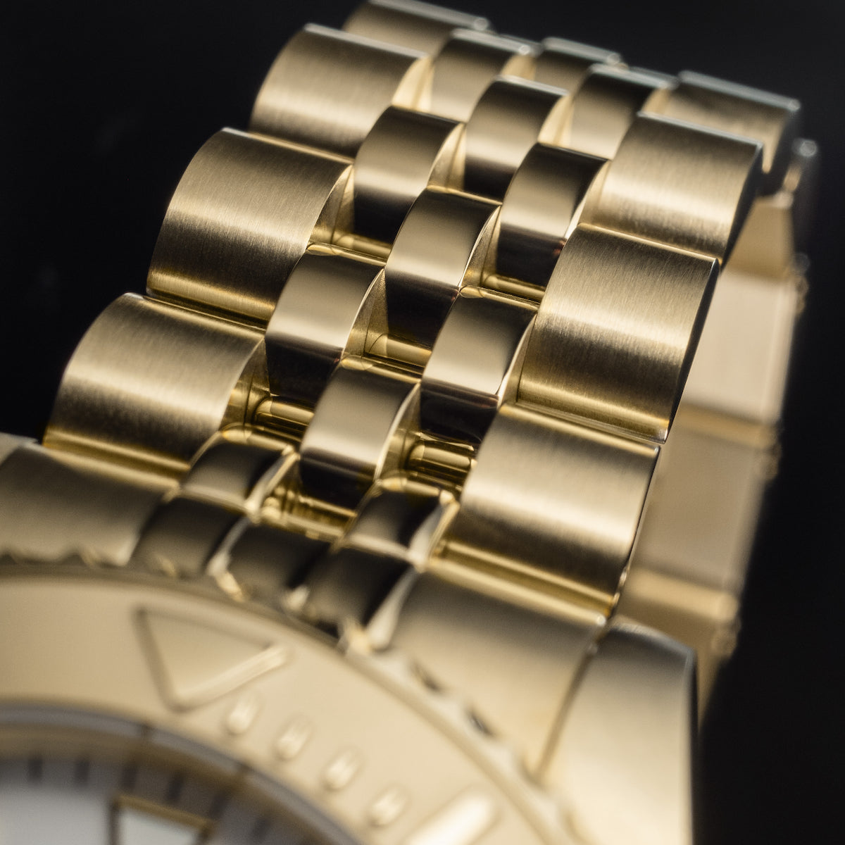 Davosa Ternos Medium Automatic Watch 16619802 Image 6