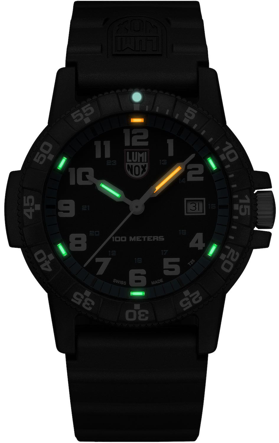 Luminox Leatherback Sea Turtle Giant 0320 Series Watch XS.0324 Image 3