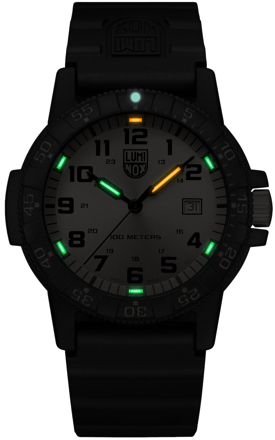Luminox Leatherback Sea Turtle Giant 0320 Series Watch XS.0325.GP Image 3