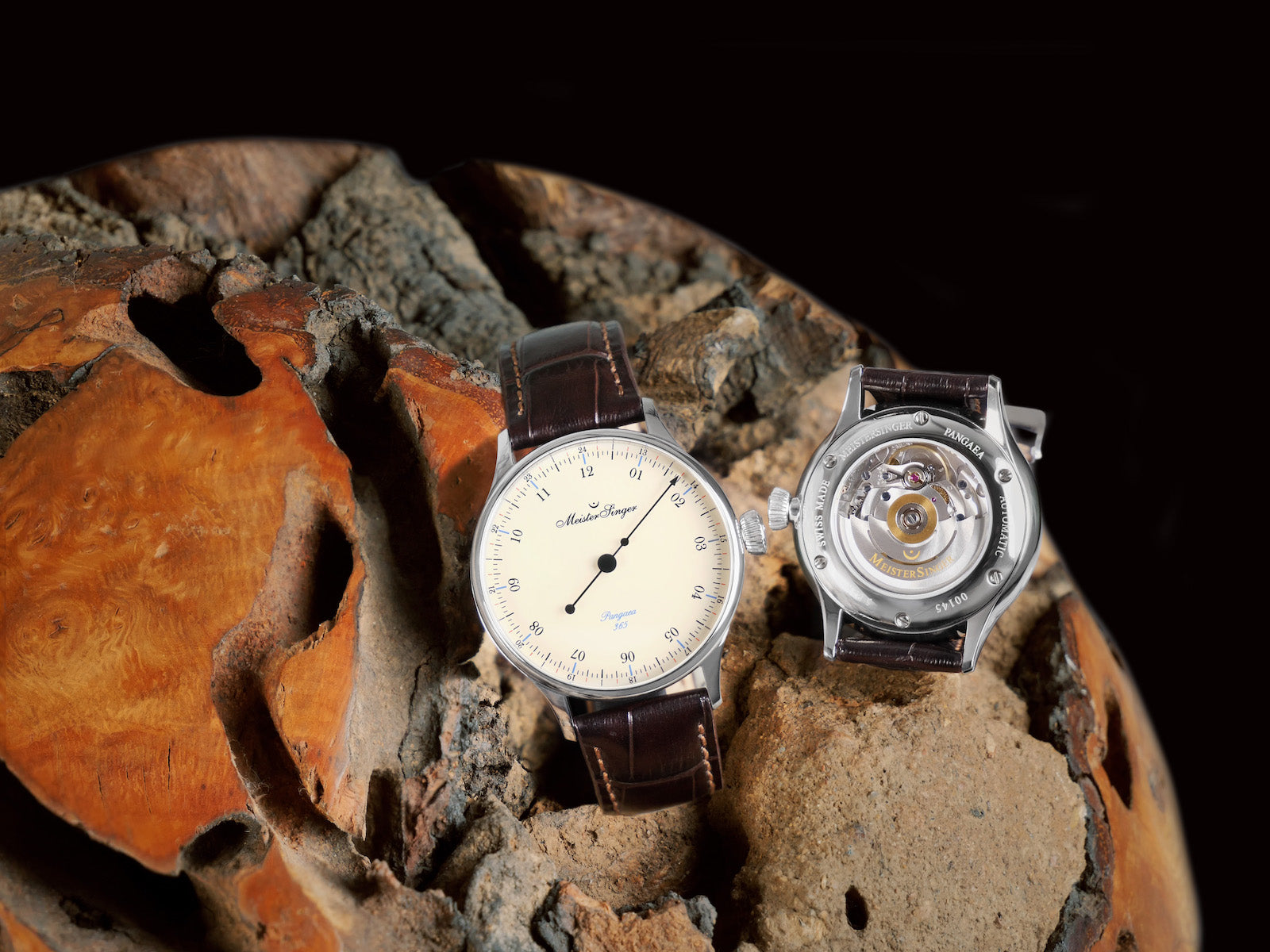 MeisterSinger Watch Pangaea 365 Limited Edition ED-SIN903 Image 2