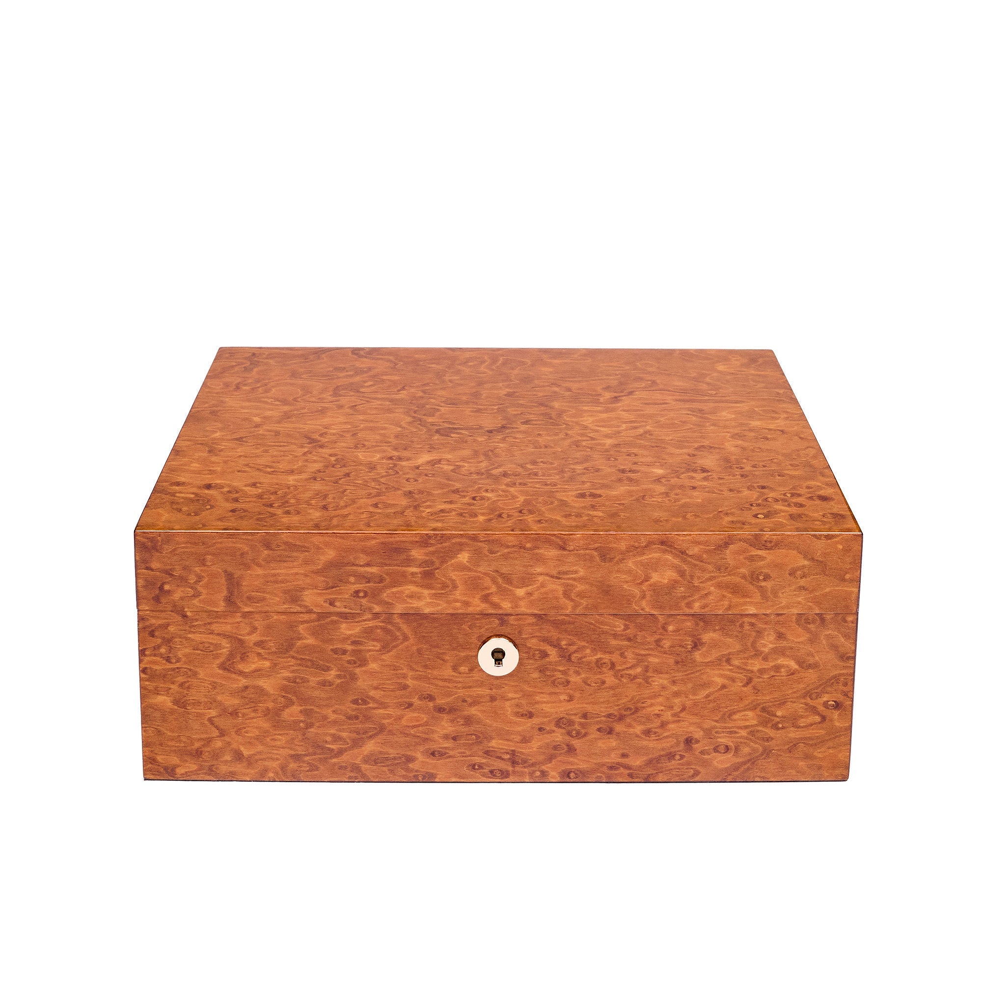 Rapport Brompton Burr Walnut Large Humidor RPT-196 Image 6