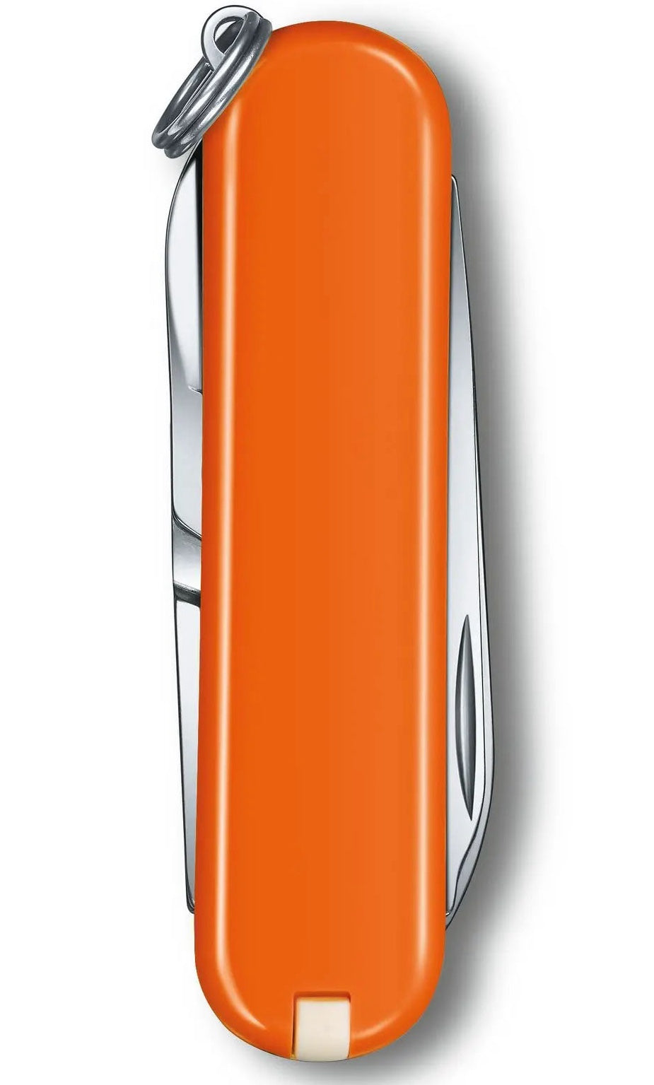 Victorinox Small Pocket Knife Classic SD Mango Tango 0622383G Image 2