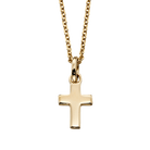 Little Star Knox Gold Vermeil Sterling Silver Necklace LSN0035