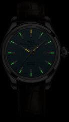 Ball Watch Company Trainmaster Eternity Watch NL2080D-LL2J-IBE Image 2