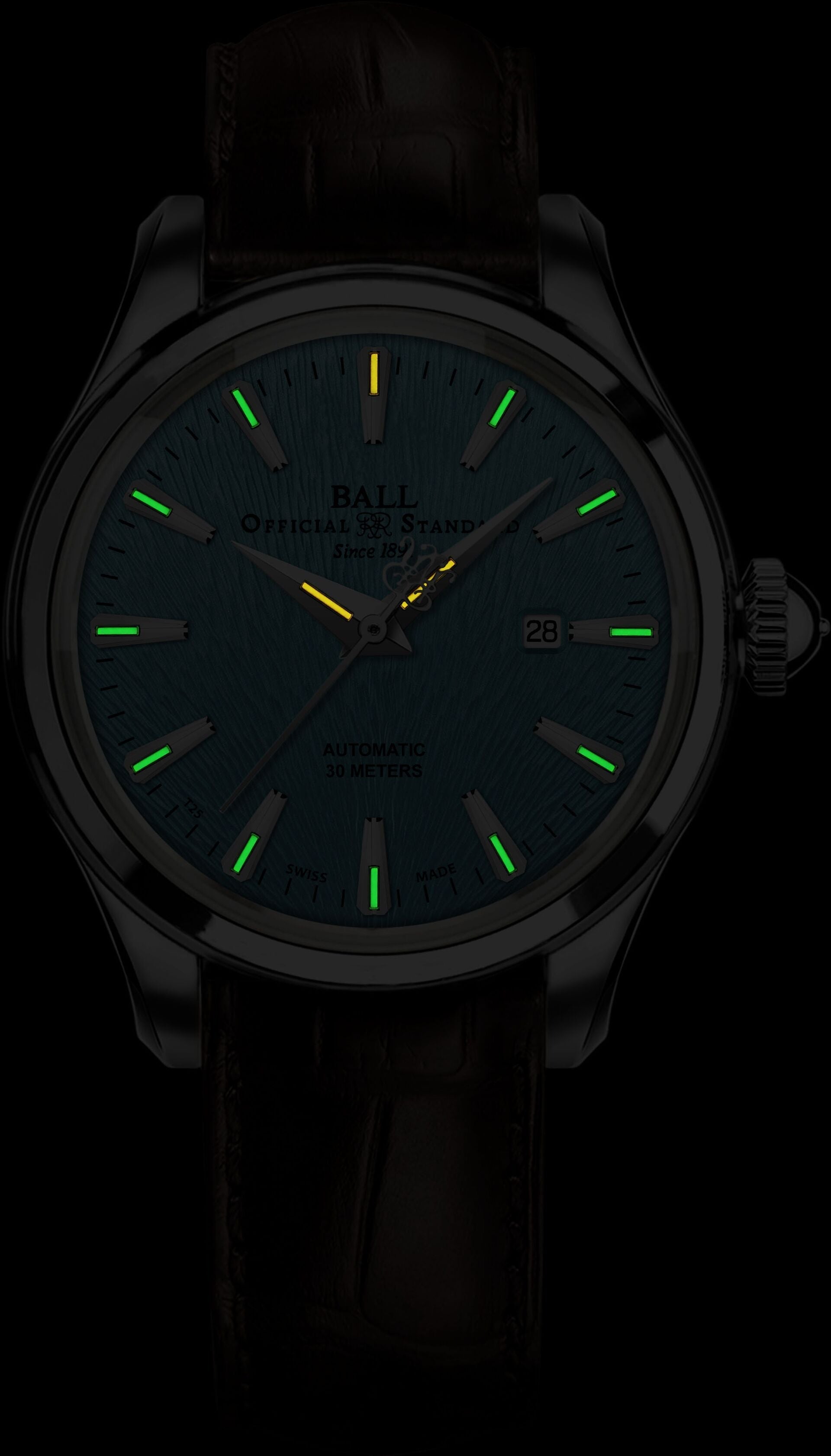 Ball Watch Company Trainmaster Eternity Watch NL2080D-LL2J-IBE Image 2