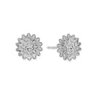 ChloBo Sterling Silver Botanical Beauty Stud Earrings CBO-515 Image 1
