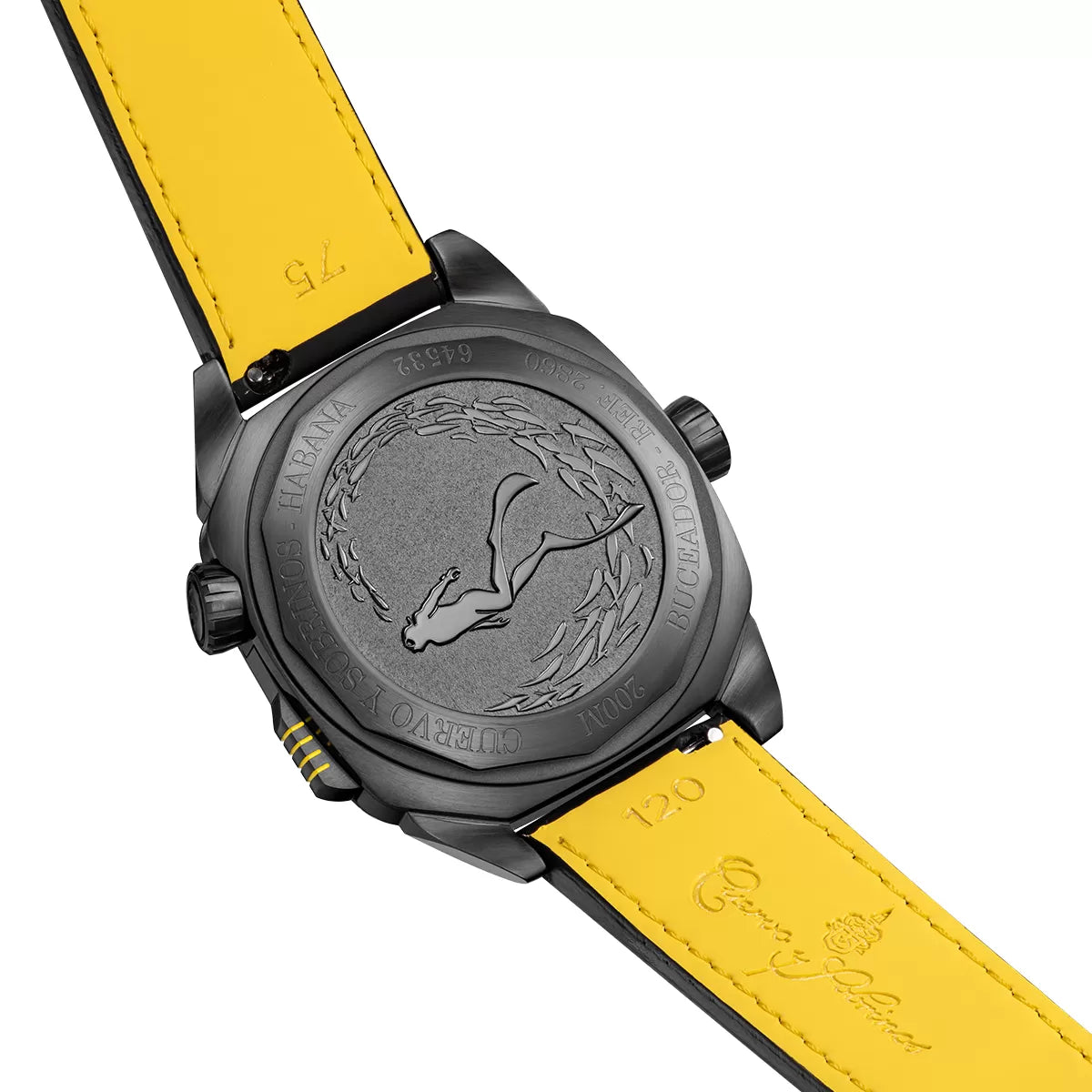 Cuervo y Sobrinos Buceador Caribe Watch 2860.3NY Image 4