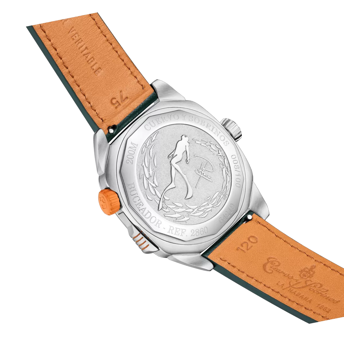 Cuervo y Sobrinos Watch Buceador Caribe Pipin Limited Edition 2860.1P Image 4