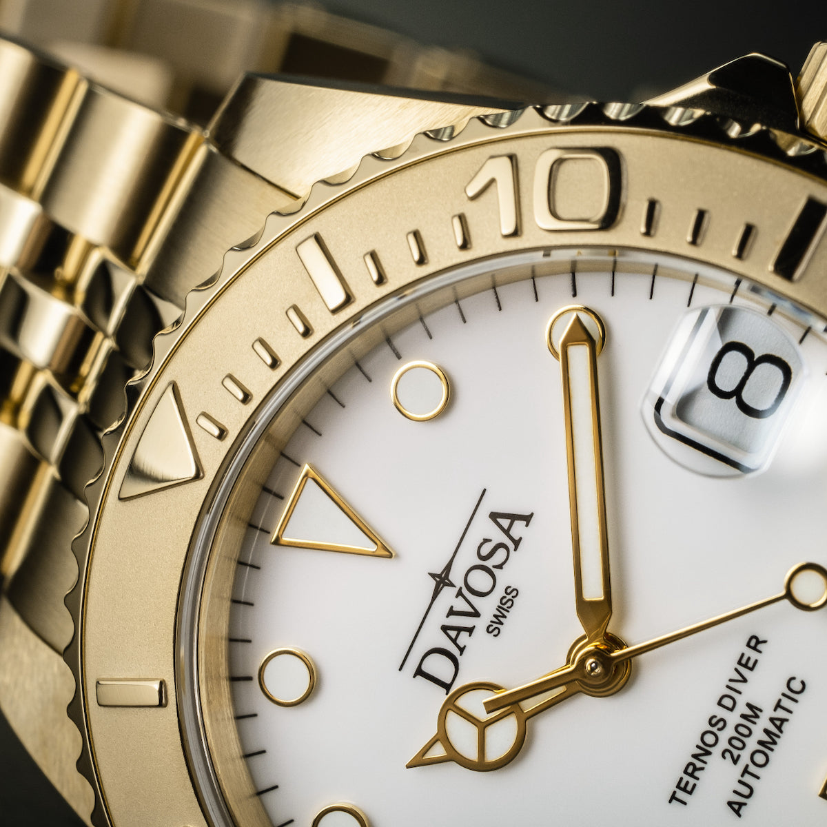 Davosa Ternos Medium Automatic Watch 16619802 Image 5
