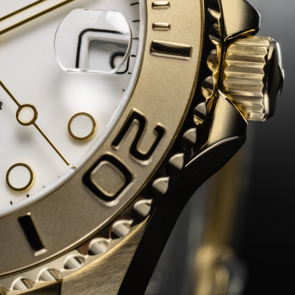 Davosa Ternos Medium Automatic Watch 16619820 Image 4
