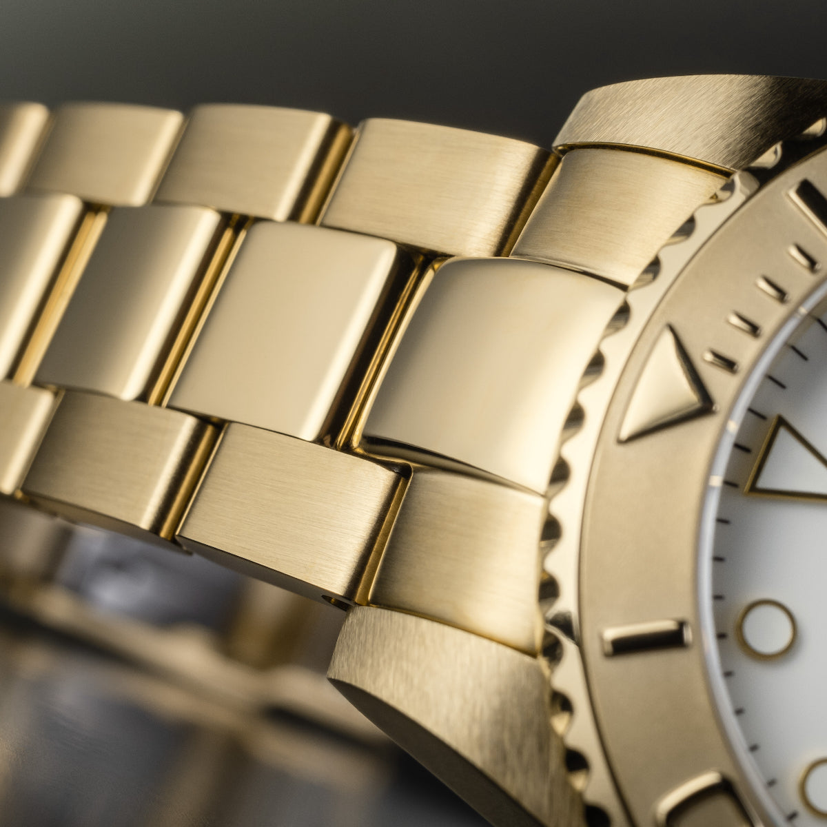 Davosa Ternos Medium Automatic Watch 16619820 Image 5