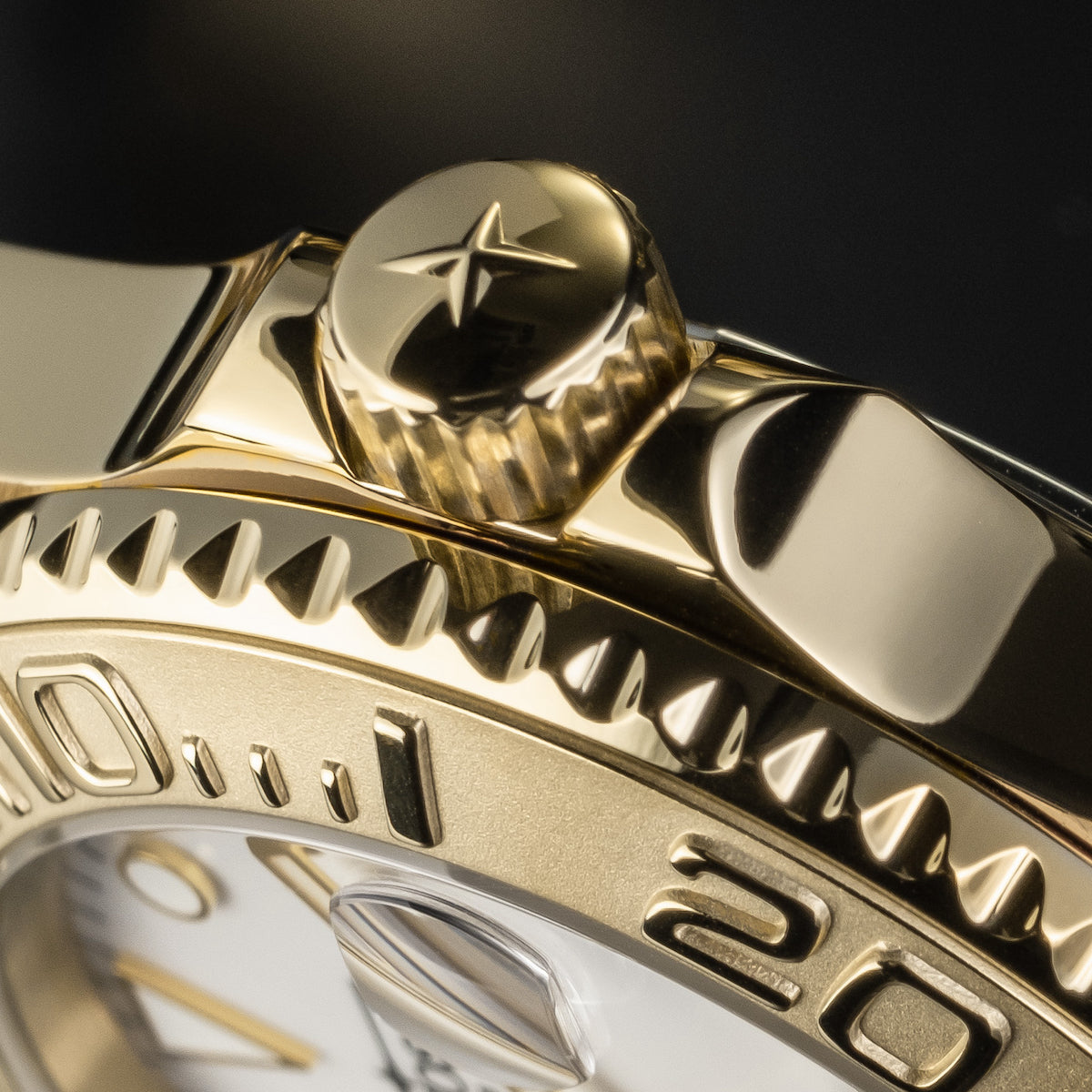 Davosa Ternos Medium Automatic Watch 16619820 Image 6