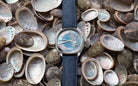 Fears Brunswick 40 Aurora MOP Watch FER-017 Image 3