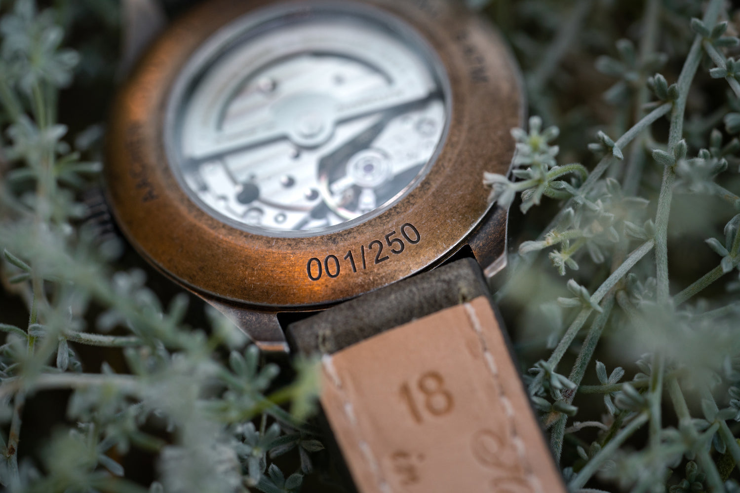 Laco Watch Aachen Olive 39 Limited Edition 862136 Image 4