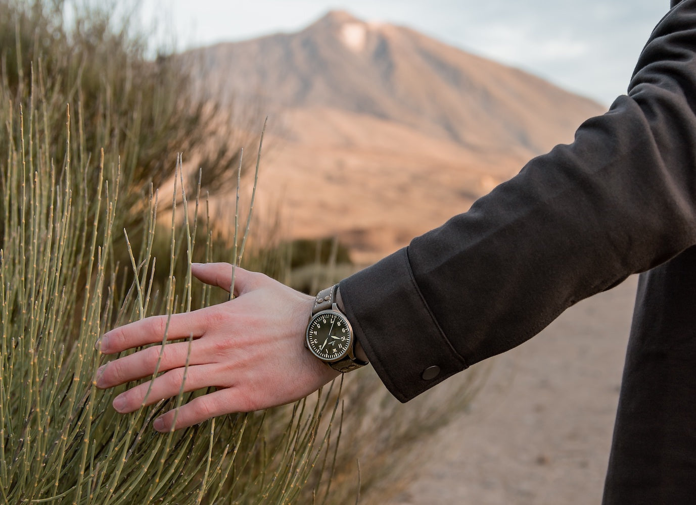 Laco Watch Augsburg Olive 39 Limited Edition 862135 Image 2