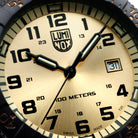 Luminox Leatherback Sea Turtle Giant 0320 Series Watch XS.0325.GP Image 5