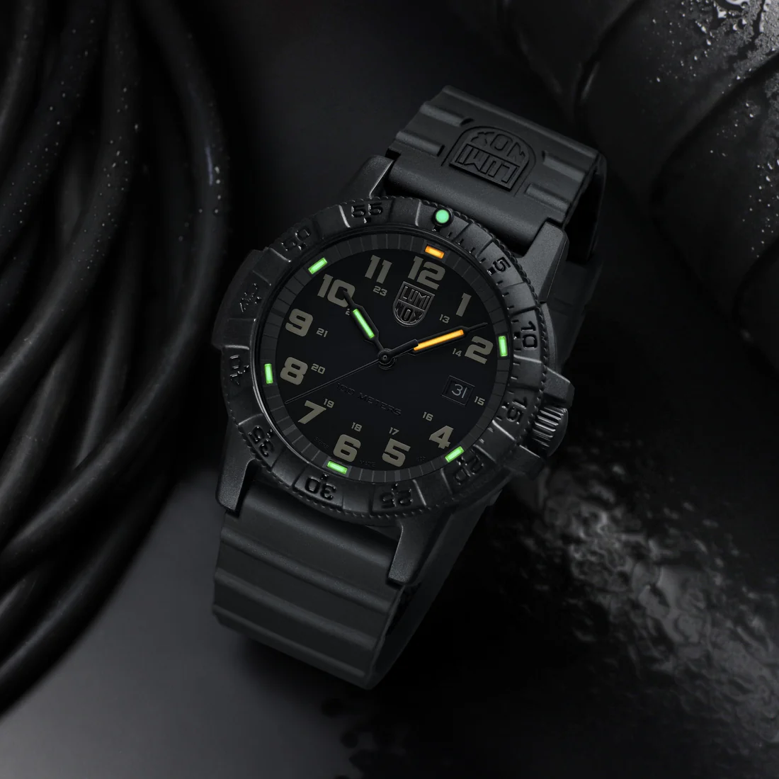 Luminox Leatherback Sea Turtle Giant 0320 Series Watch XS.0330 Image 5