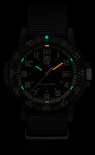 Luminox Leatherback Sea Turtle Giant 0320 Series Watch XS.0333 Image 3