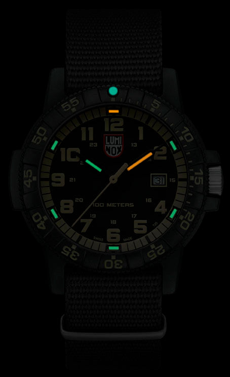 Luminox Leatherback Sea Turtle Giant 0320 Series Watch XS.0333 Image 3