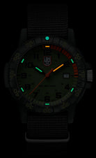 Luminox Leatherback Sea Turtle Giant 0320 Series Watch XS.0337 Image 3