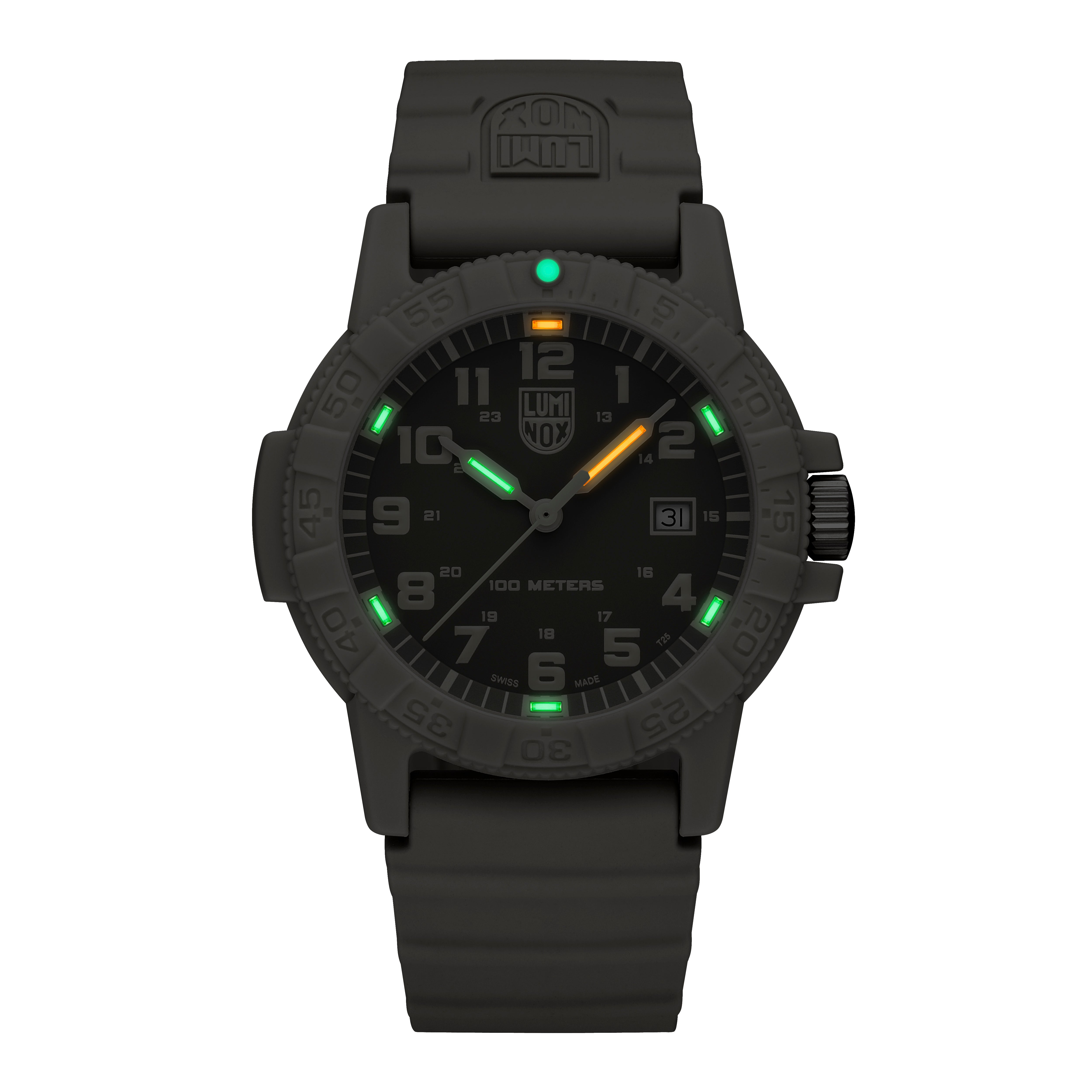Luminox Leatherback Sea Turtle Giant 300 Series Watch XS.0326 Image 5