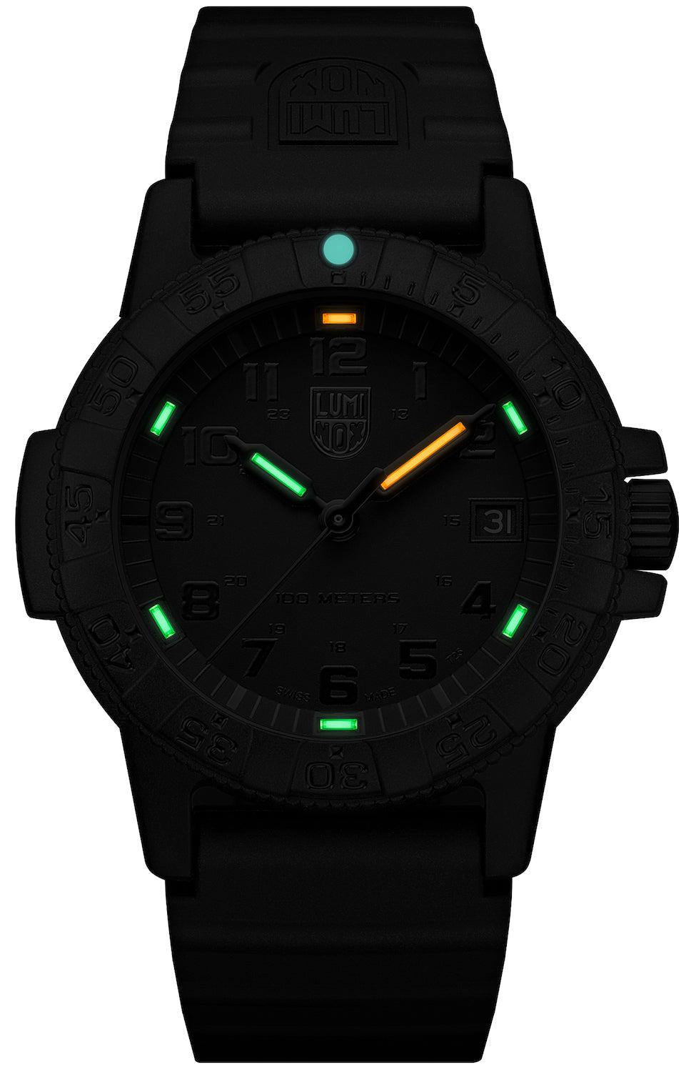 Luminox Sea Turtle 0300 Series Watch XS.0301.BO.L Image 3