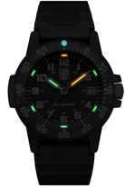 Luminox Sea Turtle 0300 Series Watch XS.0301.L Image 2