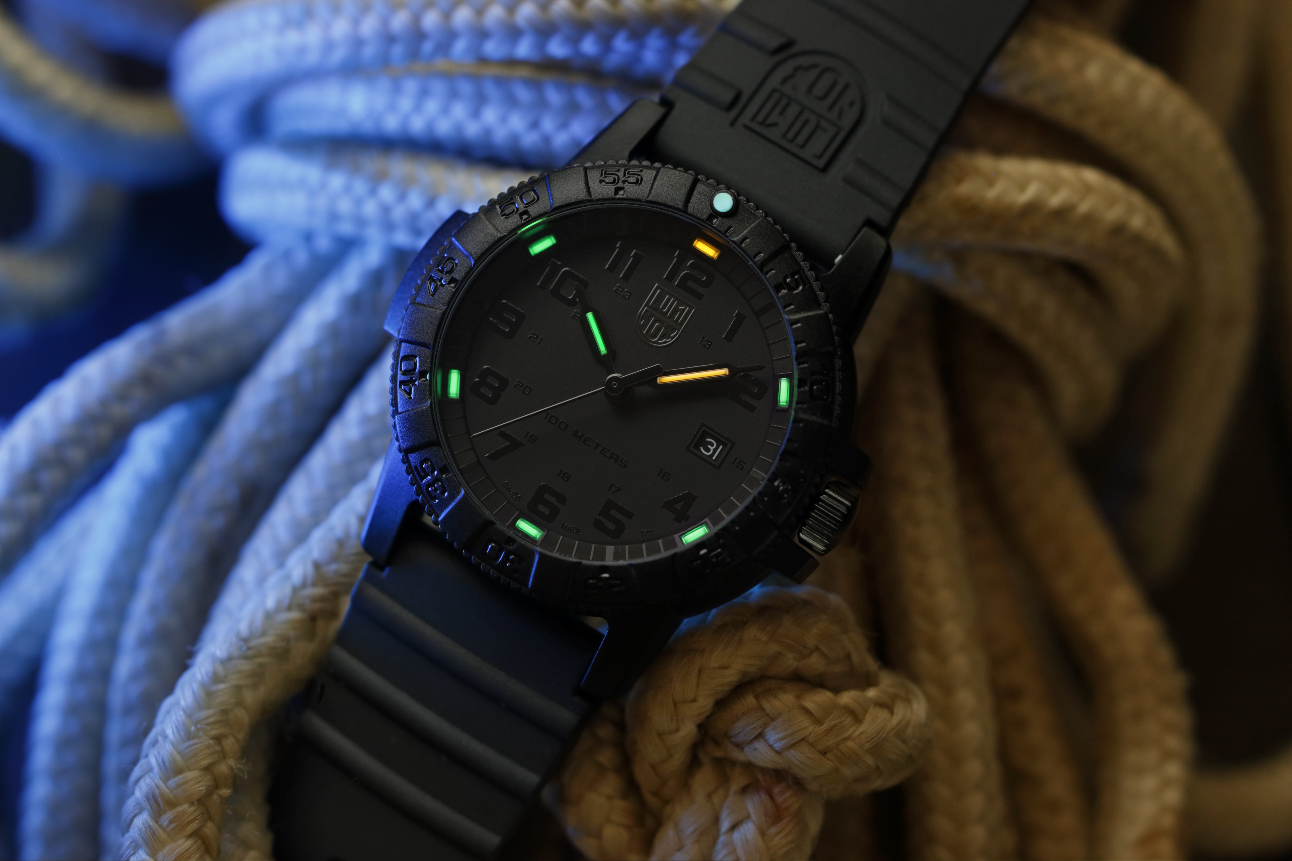 Luminox Sea Turtle Giant 0320 Series Watch XS.0321.BO.L Image 3