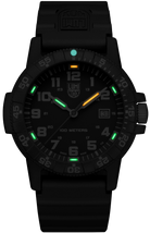Luminox Sea Turtle Giant 0320 Series Watch XS.0321.L Image 2