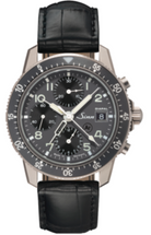Sinn 103 Ti Diapal Leather Watch 103.078 Leather Image 1