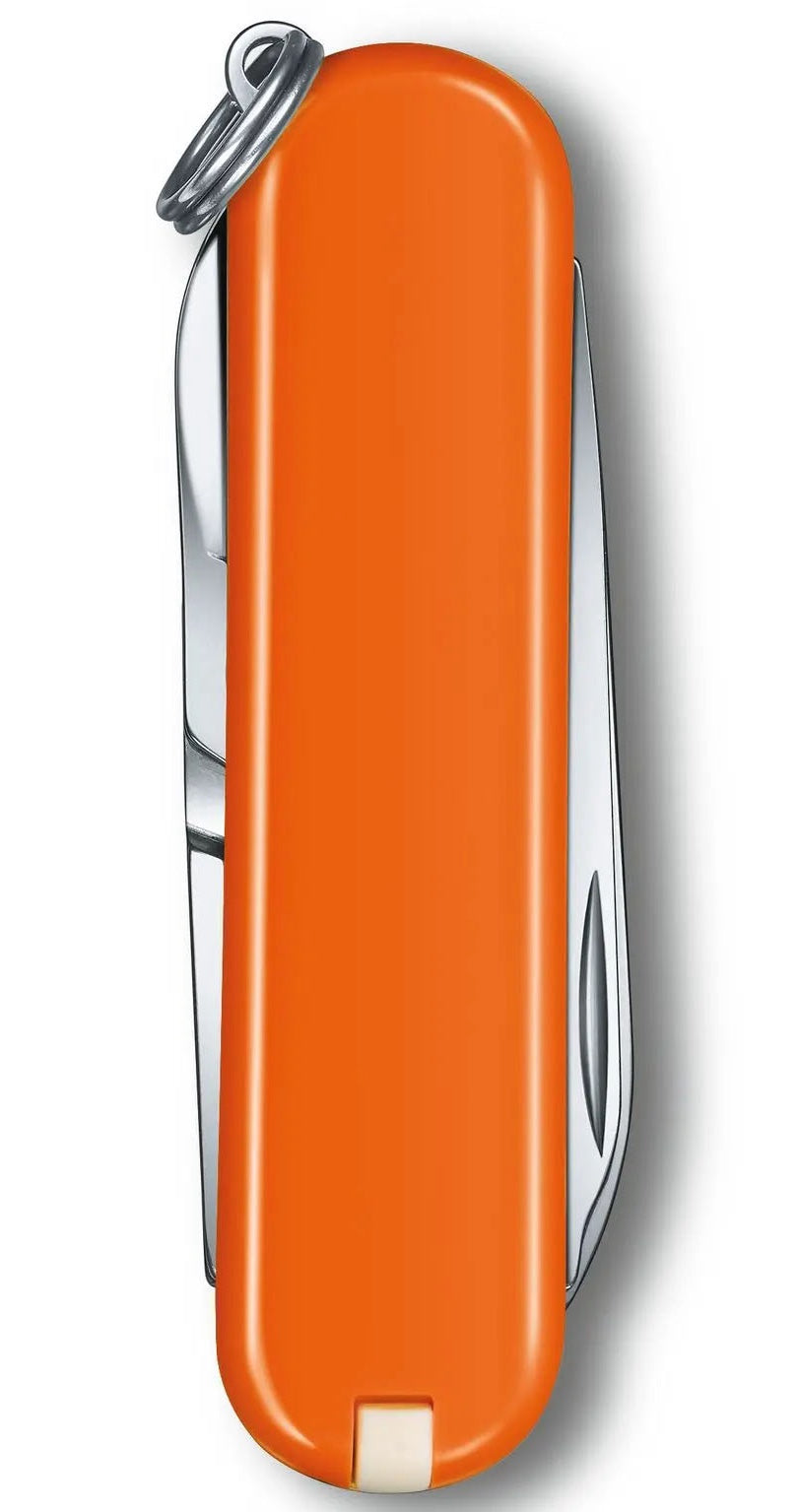 Victorinox Small Pocket Knife Classic SD Blister Pack Mango Tango 0622383B1 Image 2