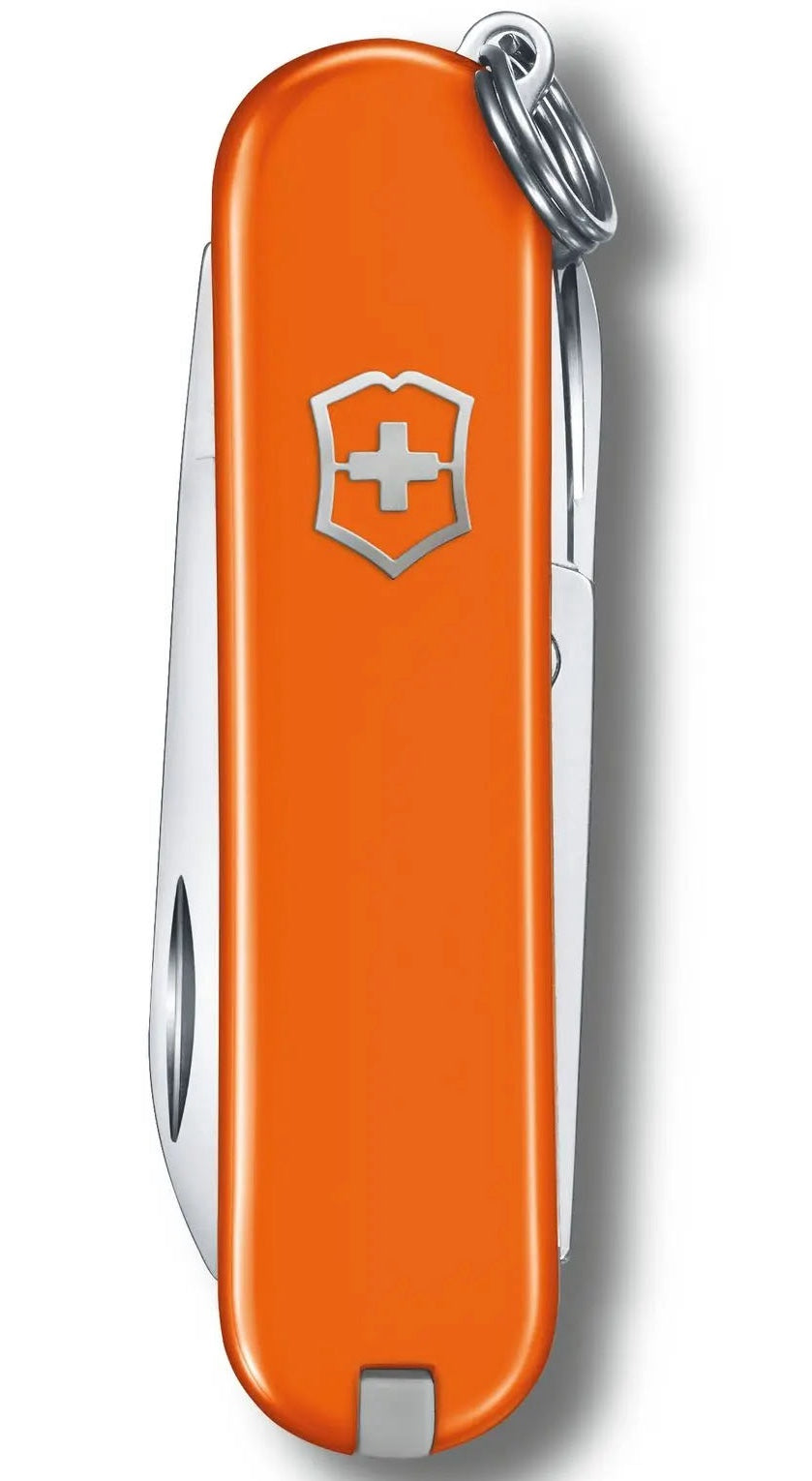 Victorinox Small Pocket Knife Classic SD Blister Pack Mango Tango 0622383B1 Image 3